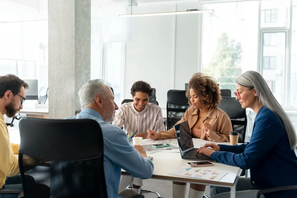 Implementation partners